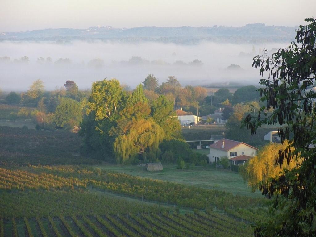 Romantic Gite Nr St Emilion With Private Pool And Views To Die For Pujols  Eksteriør billede