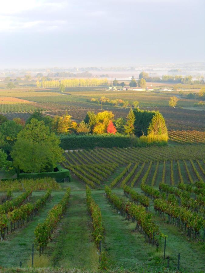 Romantic Gite Nr St Emilion With Private Pool And Views To Die For Pujols  Eksteriør billede