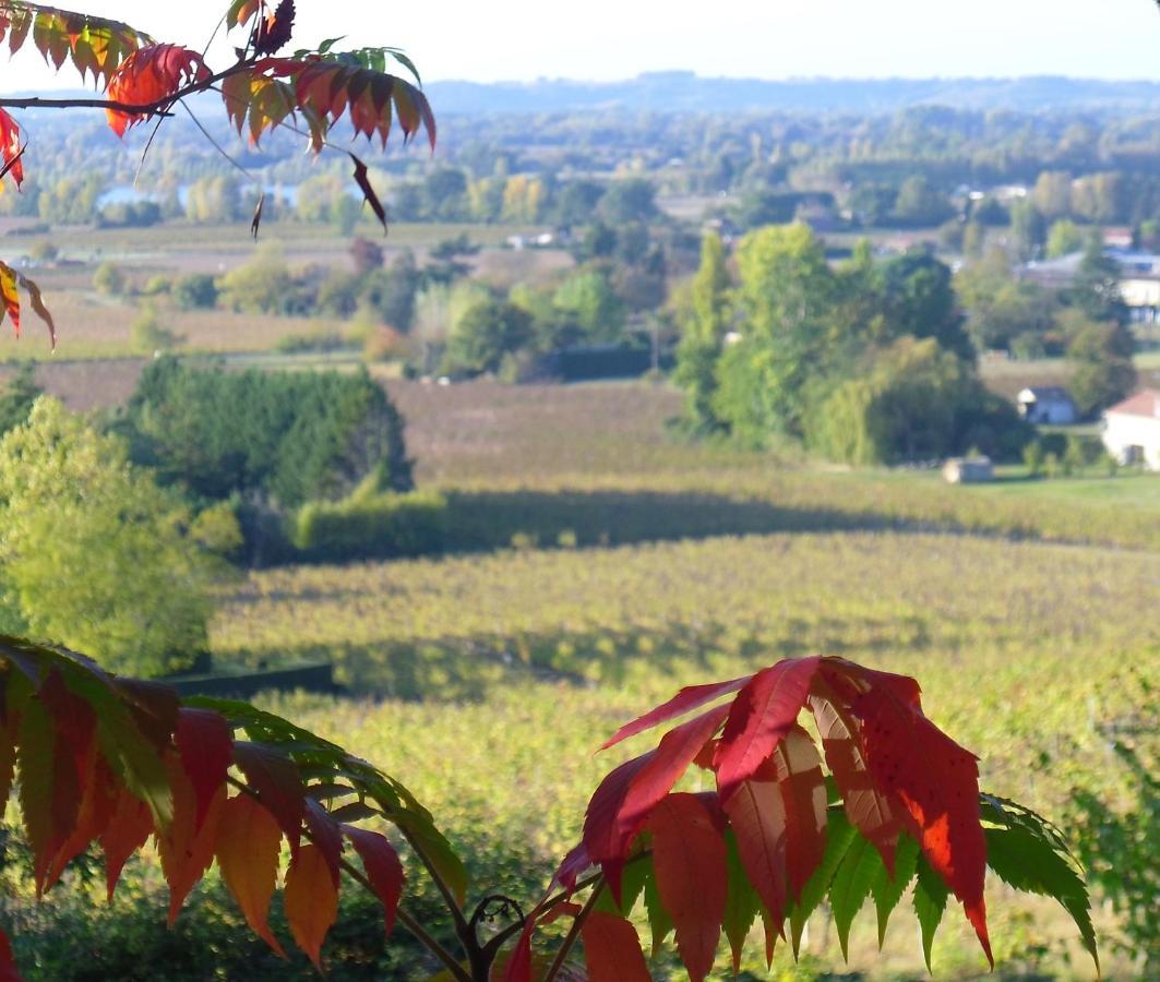 Romantic Gite Nr St Emilion With Private Pool And Views To Die For Pujols  Eksteriør billede