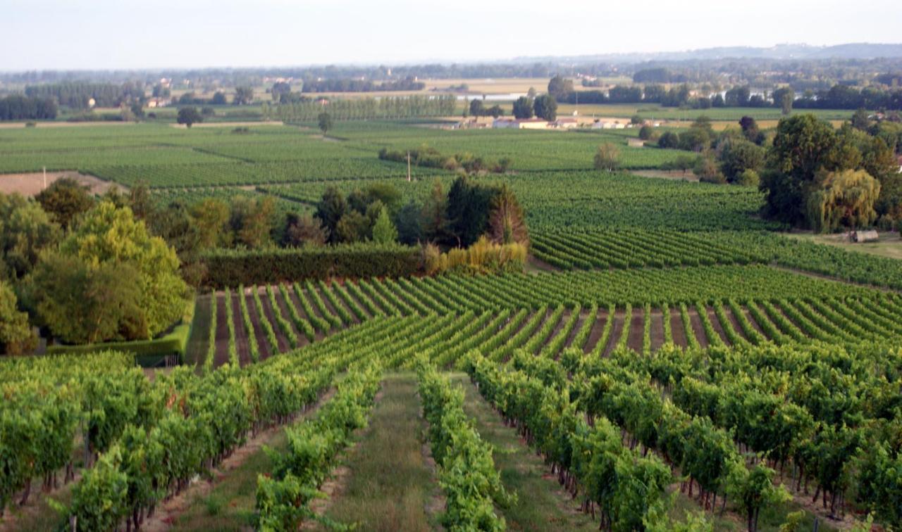 Romantic Gite Nr St Emilion With Private Pool And Views To Die For Pujols  Eksteriør billede